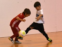 mini-2017-01-29-DSC_4202